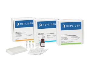 ELISA 定量檢測試劑盒